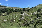 p1070323.jpg