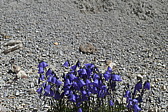 p1070325.jpg