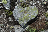 p1070358.jpg