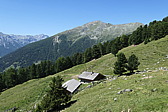p1070366.jpg
