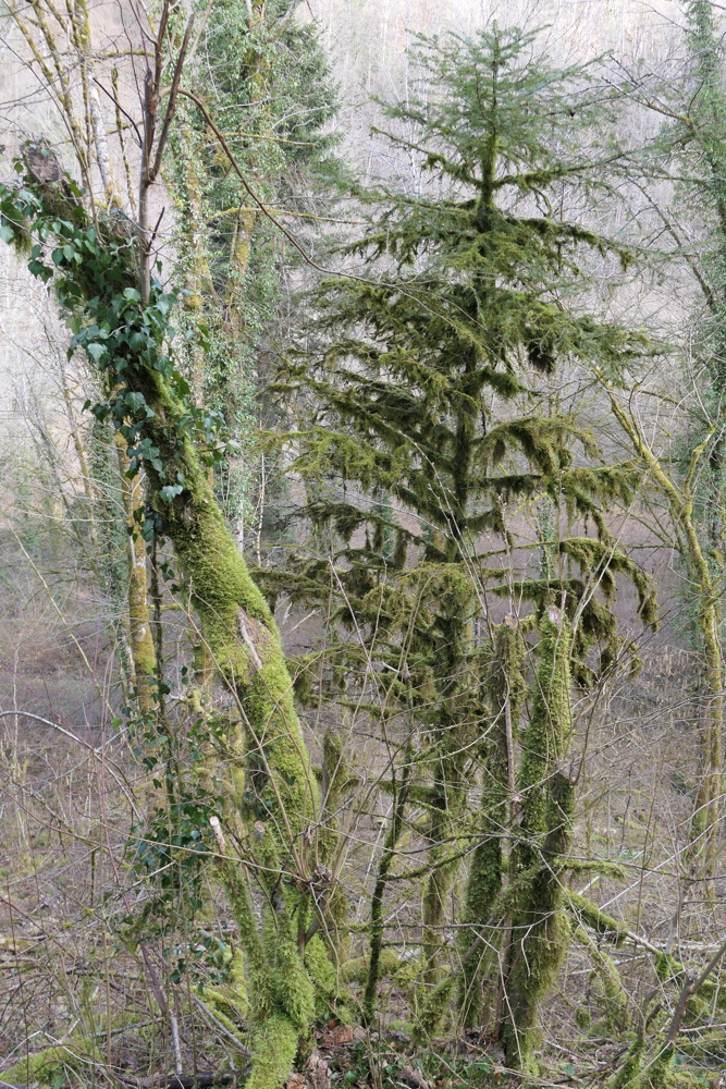 p1050979.jpg