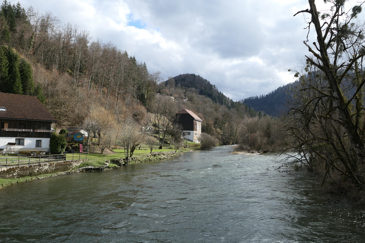 p1060004.jpg
