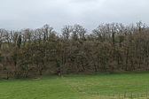 p1050940.jpg