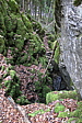 p1050952.jpg