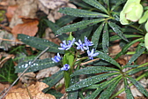 p1050963.jpg