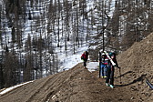 p1060008.jpg